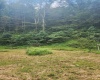 166 Brown Road, Wallace, West Virginia 26448-8547, ,Lots/land,For Sale,Brown,10161210