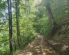 166 Brown Road, Wallace, West Virginia 26448-8547, ,Lots/land,For Sale,Brown,10161210