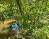 166 Brown Road, Wallace, West Virginia 26448-8547, ,Lots/land,For Sale,Brown,10161210