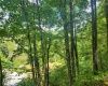 166 Brown Road, Wallace, West Virginia 26448-8547, ,Lots/land,For Sale,Brown,10161210