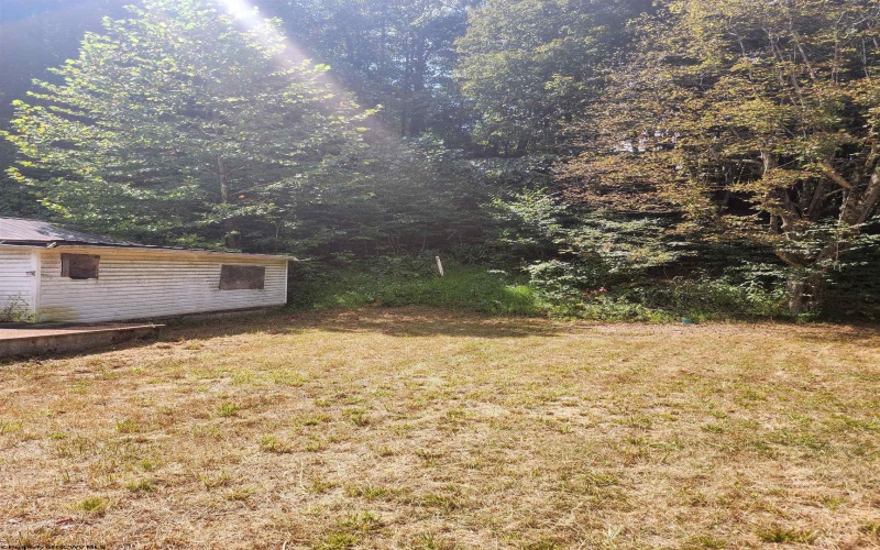 166 Brown Road, Wallace, West Virginia 26448-8547, ,Lots/land,For Sale,Brown,10161210