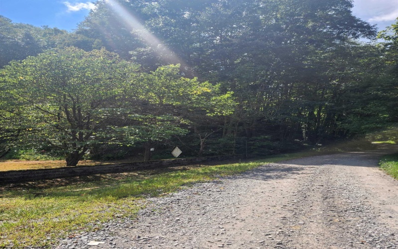 166 Brown Road, Wallace, West Virginia 26448-8547, ,Lots/land,For Sale,Brown,10161210
