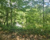 166 Brown Road, Wallace, West Virginia 26448-8547, ,Lots/land,For Sale,Brown,10161210