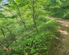 166 Brown Road, Wallace, West Virginia 26448-8547, ,Lots/land,For Sale,Brown,10161210