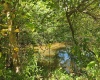 166 Brown Road, Wallace, West Virginia 26448-8547, ,Lots/land,For Sale,Brown,10161210