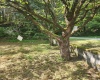 166 Brown Road, Wallace, West Virginia 26448-8547, ,Lots/land,For Sale,Brown,10161210