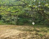 166 Brown Road, Wallace, West Virginia 26448-8547, ,Lots/land,For Sale,Brown,10161210