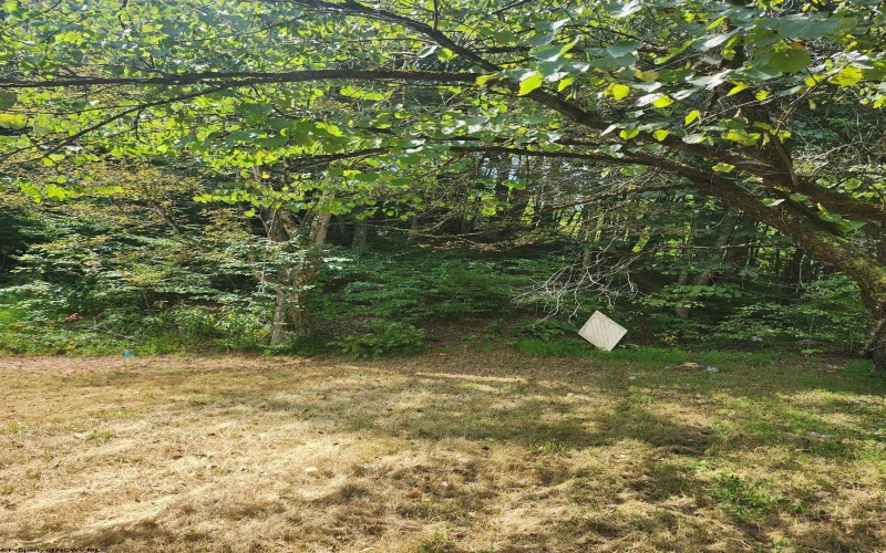 166 Brown Road, Wallace, West Virginia 26448-8547, ,Lots/land,For Sale,Brown,10161210
