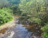 166 Brown Road, Wallace, West Virginia 26448-8547, ,Lots/land,For Sale,Brown,10161210