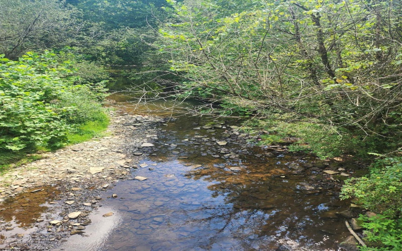 166 Brown Road, Wallace, West Virginia 26448-8547, ,Lots/land,For Sale,Brown,10161210