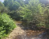 166 Brown Road, Wallace, West Virginia 26448-8547, ,Lots/land,For Sale,Brown,10161210
