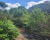 166 Brown Road, Wallace, West Virginia 26448-8547, ,Lots/land,For Sale,Brown,10161210