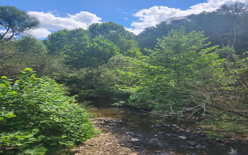 166 Brown Road, Wallace, West Virginia 26448-8547, ,Lots/land,For Sale,Brown,10161210