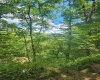 166 Brown Road, Wallace, West Virginia 26448-8547, ,Lots/land,For Sale,Brown,10161210