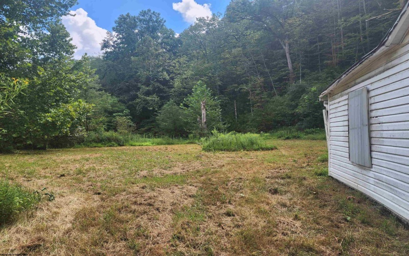 166 Brown Road, Wallace, West Virginia 26448-8547, ,Lots/land,For Sale,Brown,10161210