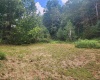 166 Brown Road, Wallace, West Virginia 26448-8547, ,Lots/land,For Sale,Brown,10161210