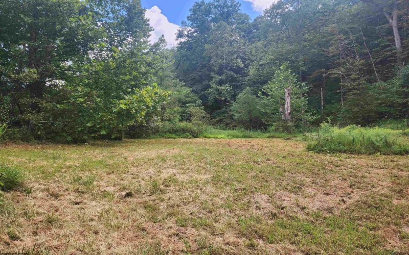 166 Brown Road, Wallace, West Virginia 26448-8547, ,Lots/land,For Sale,Brown,10161210