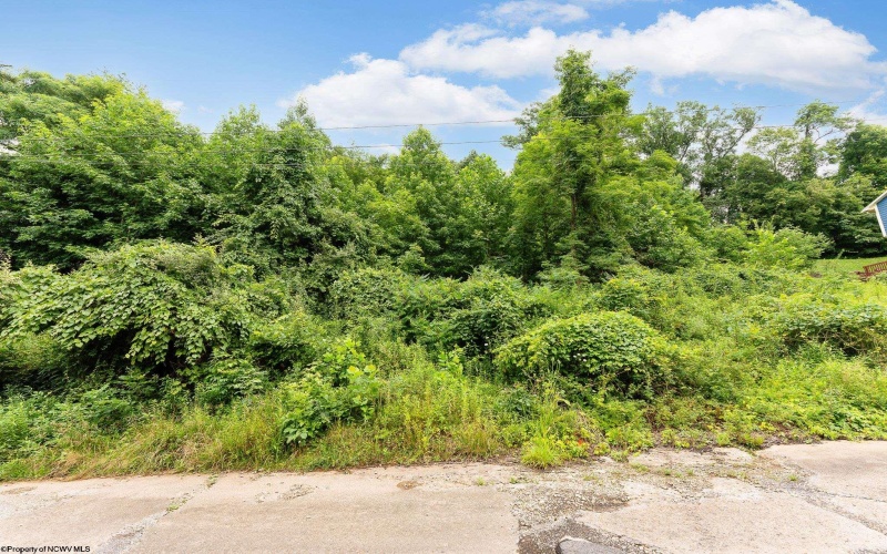 TBD Karen Lane, Morgantown, West Virginia 26501, ,Lots/land,For Sale,Karen,10161200