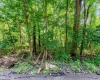 TBD Hodges Street, Morgantown, West Virginia 26505, ,Lots/land,For Sale,Hodges,10161202