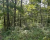 TBD Mount Clare Road, Mount Clare, West Virginia 26408, ,Lots/land,For Sale,Mount Clare,10161203