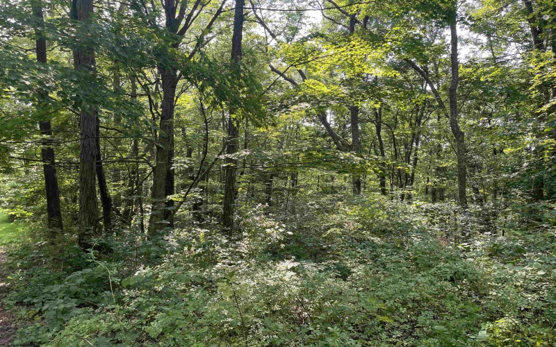 TBD Mount Clare Road, Mount Clare, West Virginia 26408, ,Lots/land,For Sale,Mount Clare,10161203