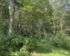 TBD Mount Clare Road, Mount Clare, West Virginia 26408, ,Lots/land,For Sale,Mount Clare,10161203