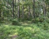 TBD Mount Clare Road, Mount Clare, West Virginia 26408, ,Lots/land,For Sale,Mount Clare,10161203