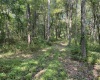 TBD Mount Clare Road, Mount Clare, West Virginia 26408, ,Lots/land,For Sale,Mount Clare,10161203