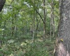TBD Mount Clare Road, Mount Clare, West Virginia 26408, ,Lots/land,For Sale,Mount Clare,10161203