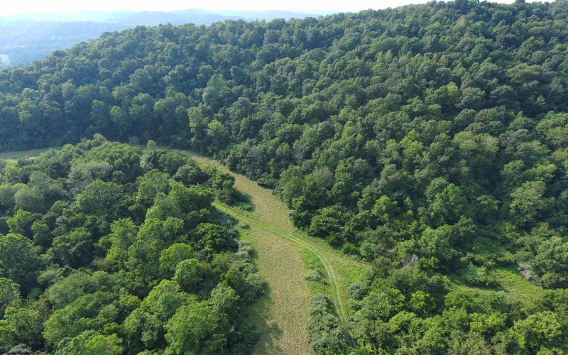 TBD Mount Clare Road, Mount Clare, West Virginia 26408, ,Lots/land,For Sale,Mount Clare,10161203
