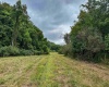 TBD Mount Clare Road, Mount Clare, West Virginia 26408, ,Lots/land,For Sale,Mount Clare,10161203