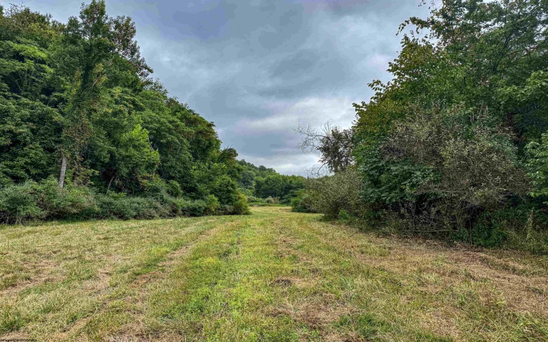TBD Mount Clare Road, Mount Clare, West Virginia 26408, ,Lots/land,For Sale,Mount Clare,10161203