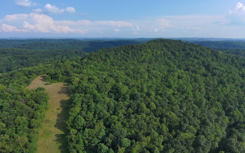 TBD Mount Clare Road, Mount Clare, West Virginia 26408, ,Lots/land,For Sale,Mount Clare,10161203