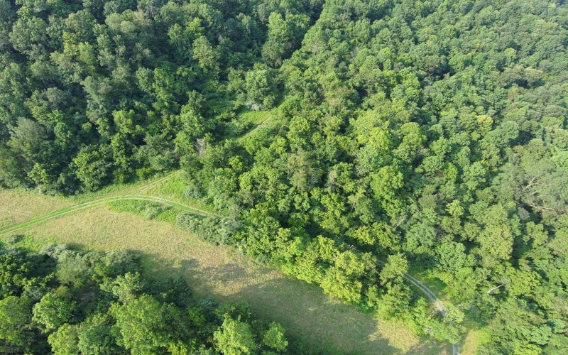 TBD Mount Clare Road, Mount Clare, West Virginia 26408, ,Lots/land,For Sale,Mount Clare,10161203