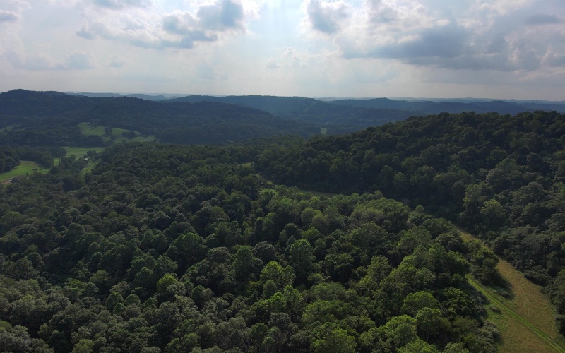 TBD Mount Clare Road, Mount Clare, West Virginia 26408, ,Lots/land,For Sale,Mount Clare,10161203