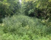TBD Mount Clare Road, Mount Clare, West Virginia 26408, ,Lots/land,For Sale,Mount Clare,10161203