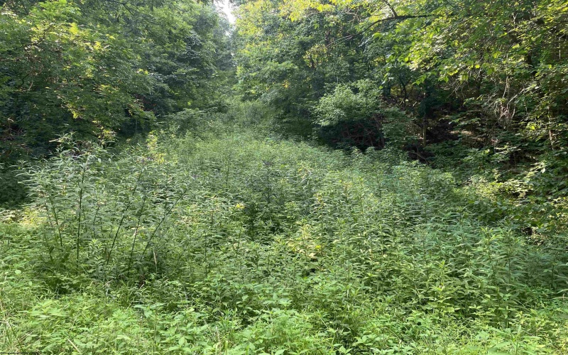TBD Mount Clare Road, Mount Clare, West Virginia 26408, ,Lots/land,For Sale,Mount Clare,10161203
