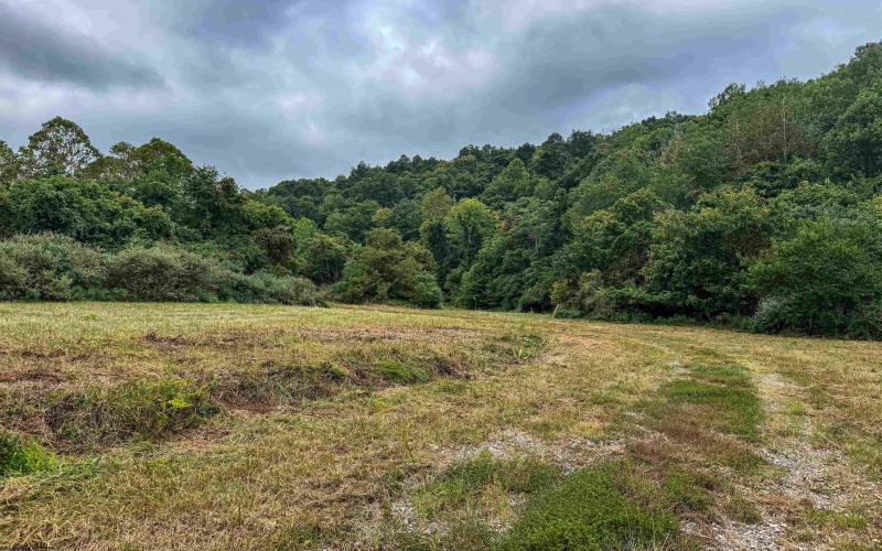 TBD Mount Clare Road, Mount Clare, West Virginia 26408, ,Lots/land,For Sale,Mount Clare,10161203