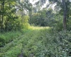 TBD Mount Clare Road, Mount Clare, West Virginia 26408, ,Lots/land,For Sale,Mount Clare,10161203