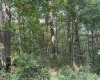 TBD Mount Clare Road, Mount Clare, West Virginia 26408, ,Lots/land,For Sale,Mount Clare,10161203
