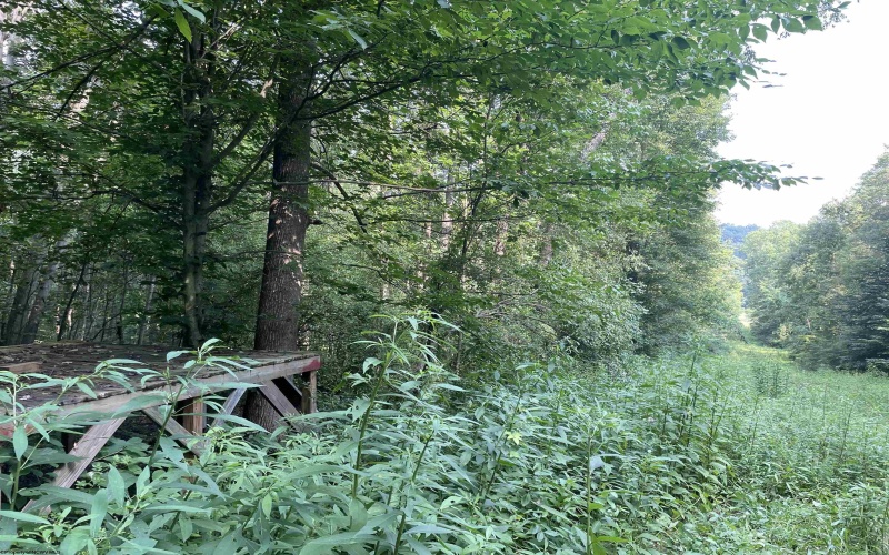 TBD Mount Clare Road, Mount Clare, West Virginia 26408, ,Lots/land,For Sale,Mount Clare,10161203