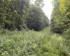 TBD Mount Clare Road, Mount Clare, West Virginia 26408, ,Lots/land,For Sale,Mount Clare,10161203