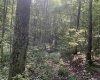 TBD Mount Clare Road, Mount Clare, West Virginia 26408, ,Lots/land,For Sale,Mount Clare,10161203