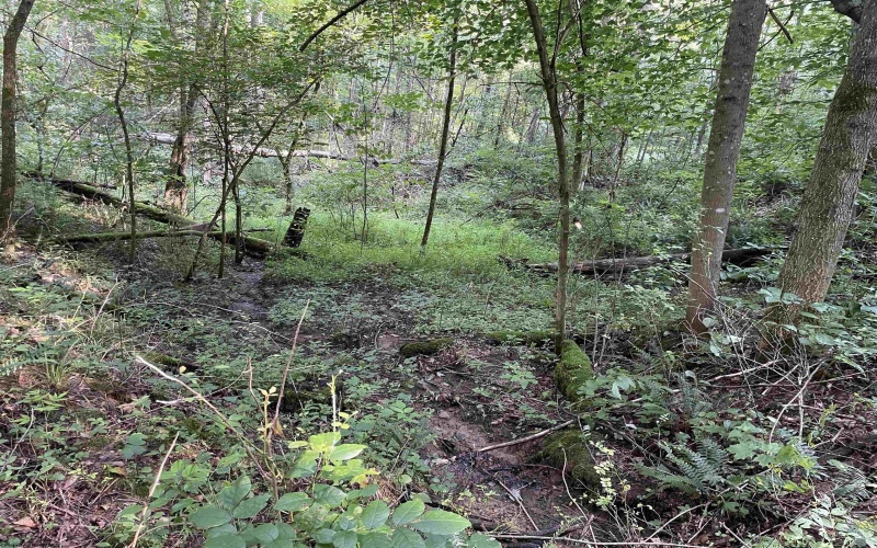 TBD Mount Clare Road, Mount Clare, West Virginia 26408, ,Lots/land,For Sale,Mount Clare,10161203