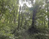 TBD Mount Clare Road, Mount Clare, West Virginia 26408, ,Lots/land,For Sale,Mount Clare,10161203