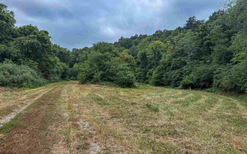 TBD Mount Clare Road, Mount Clare, West Virginia 26408, ,Lots/land,For Sale,Mount Clare,10161203
