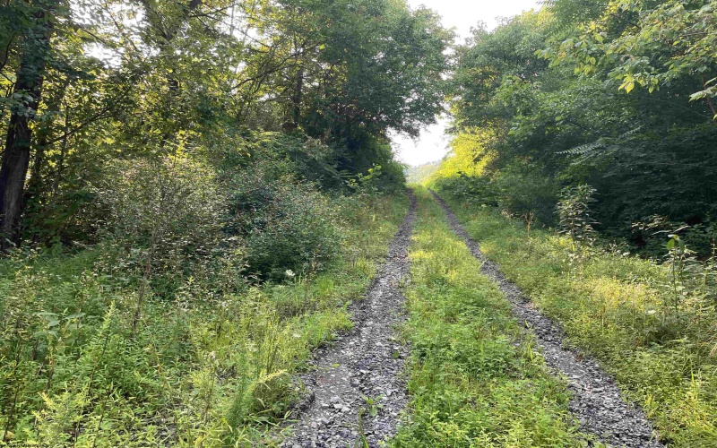 TBD Mount Clare Road, Mount Clare, West Virginia 26408, ,Lots/land,For Sale,Mount Clare,10161203