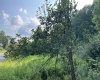 TBD Mount Clare Road, Mount Clare, West Virginia 26408, ,Lots/land,For Sale,Mount Clare,10161203