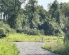 TBD Mount Clare Road, Mount Clare, West Virginia 26408, ,Lots/land,For Sale,Mount Clare,10161203