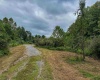 TBD Mount Clare Road, Mount Clare, West Virginia 26408, ,Lots/land,For Sale,Mount Clare,10161203